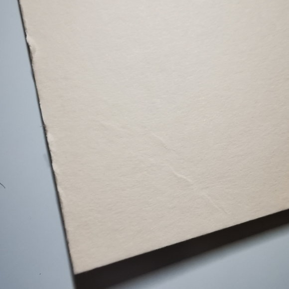 Whimsical Matted Erika Oller Signed Print - Picture 16 of 16